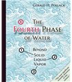 The Fourth Phase of Water