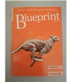 Blueprint One: Workbook (Spanish Edition)