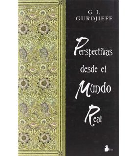 PERSPECTIVAS DESDE EL MUNDO REAL