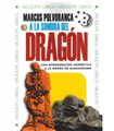 A LA SOMBRA DEL DRAGON: UNA APROXIMACION HERMETICA A LA SIERRA DE GUADARRAMA