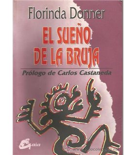 El sueño de la bruja